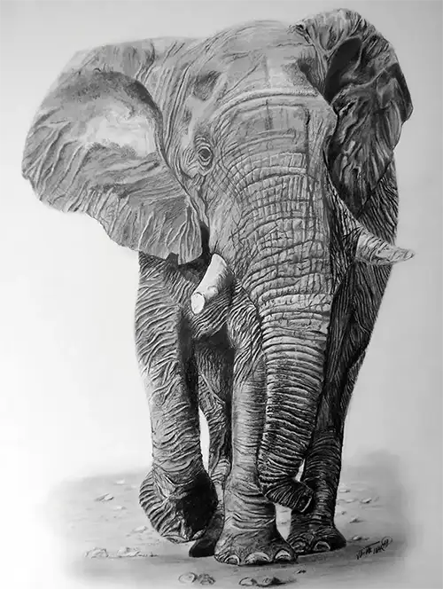 dibujo de elefante