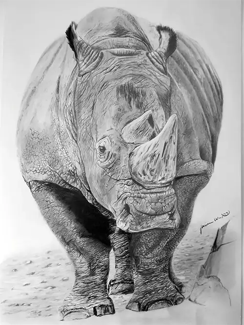 dibujo de rinoceronte