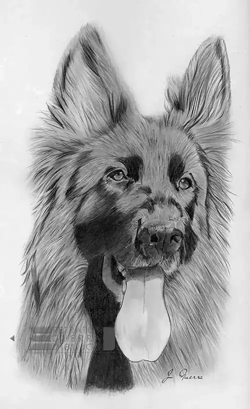 dibujo pa adulto